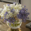 DENDROBIUM ORCHID BOUQUET